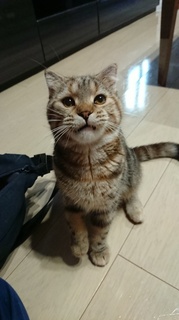 2019093010192800.jpg