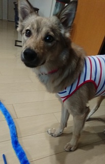2019093010202800.jpg