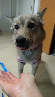2019093010231500.jpg