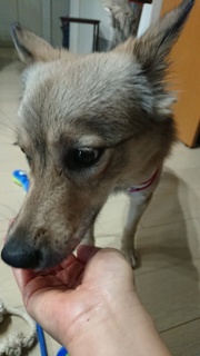 2019093010232200.jpg