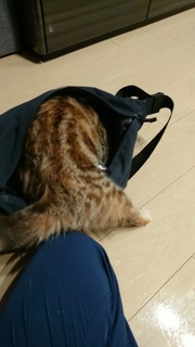 2019100122014100.jpg