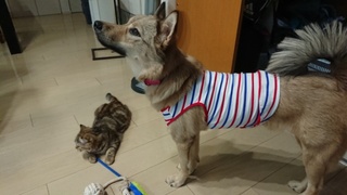 2019100122344700.jpg