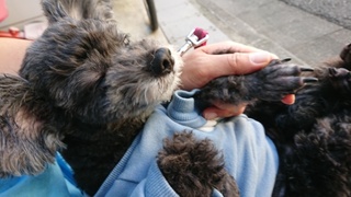 2020100815221301.jpg