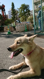 2020100815260802.jpg