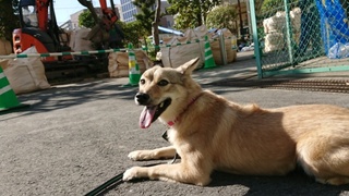2020100815260901.jpg