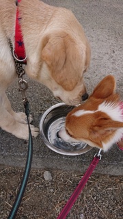 2020100816185803.jpg