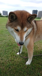 2020100818282500.jpg