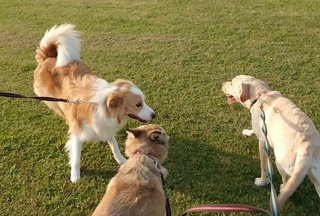 2020100819421501.jpg