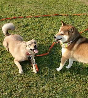 2020100820081500.jpg