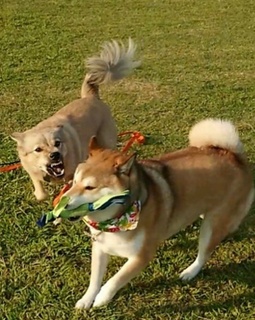2020100820081600.jpg