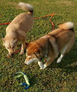 2020100820081601.jpg