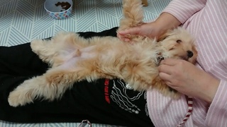 2020102221362900.jpg