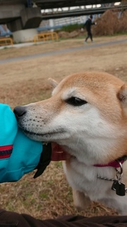2021011922265101.jpg
