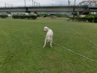 CIMG0063.jpg