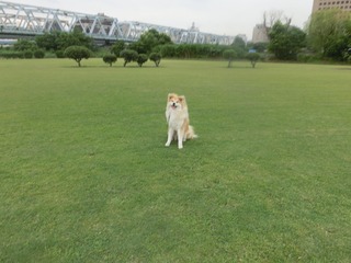 CIMG0069.jpg