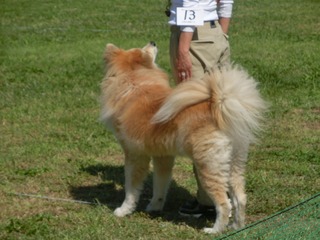 CIMG0123.jpg
