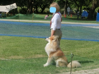 CIMG0163_LI.jpg