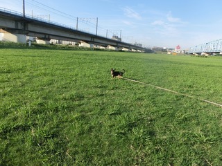 CIMG0164.jpg