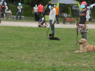 CIMG0208_LI.jpg