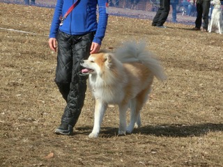 CIMG0230.jpg