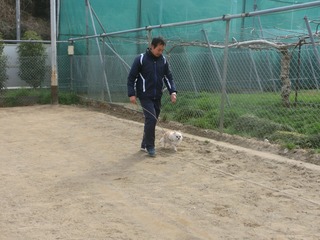CIMG0269.jpg