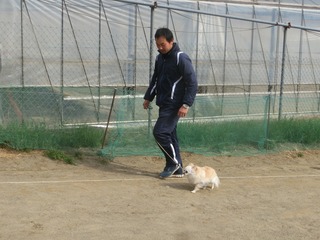 CIMG0273.jpg