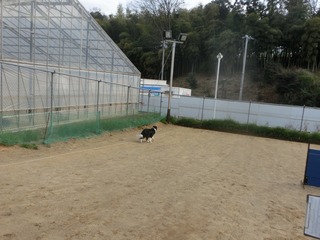 CIMG0304.jpg