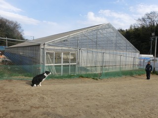 CIMG0317.jpg