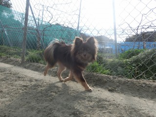CIMG0349.jpg