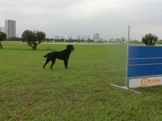 CIMG7418.jpg