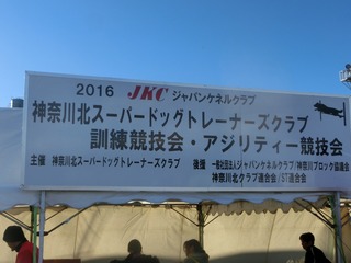 CIMG8654.jpg