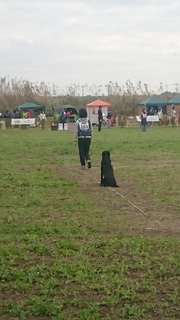 DSC_1462.jpg