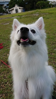 DSC_1485.JPG