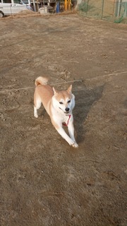 DSC_1789.jpg