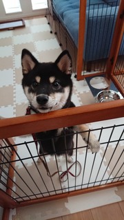 DSC_1813.jpg