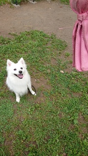 DSC_2381.jpg