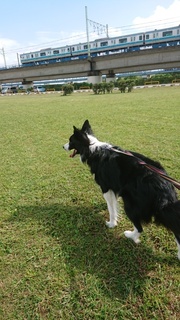 DSC_2772.jpg