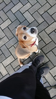 縮小済みDSC_1469.jpg