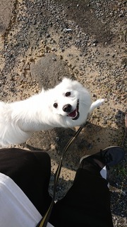 縮小済みDSC_1484.jpg