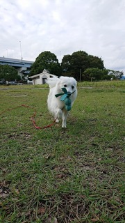 縮小済みDSC_1486.jpg
