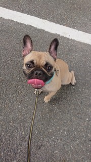 縮小済みDSC_1487.jpg